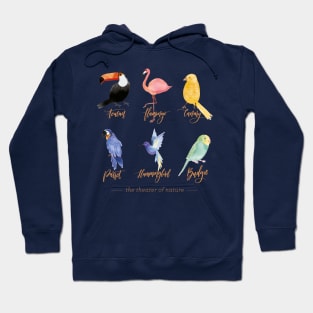 Birdwatching - birder - wildlife observation Hoodie